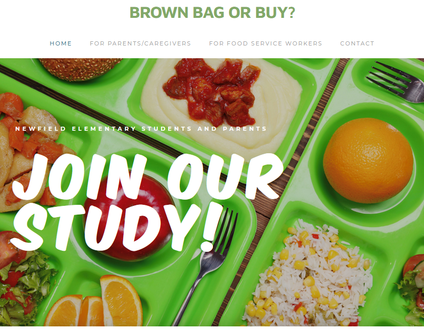 Screenshot of "Brown Bag or Buy?" Website